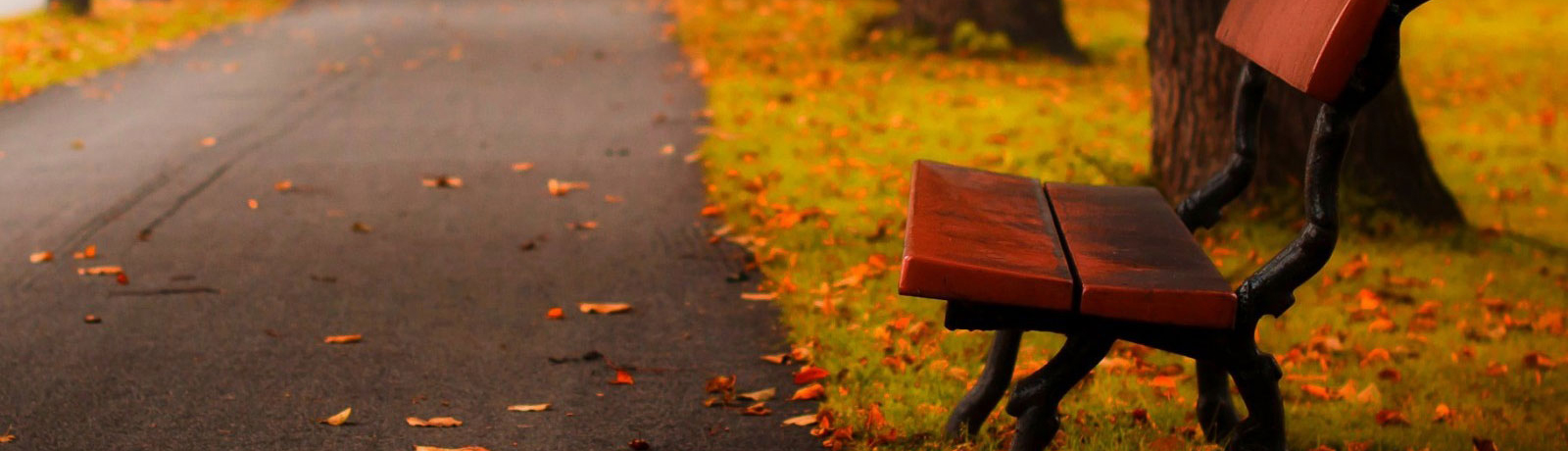 ��ҳ�õƴ�ͼһ